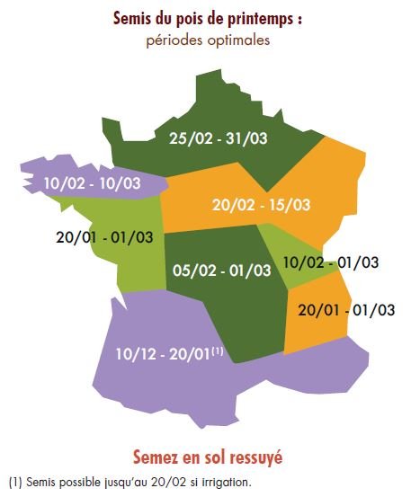 Dates de semis (préconisation TERRE INOVIA) : 